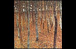 beech forest 1 1902.jpg